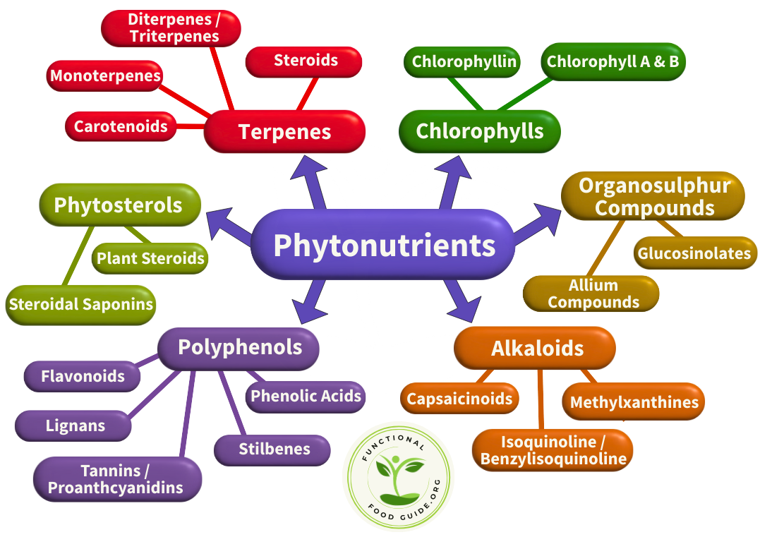 Functional Food Guide.Org Diagram of Major Phytonutrients