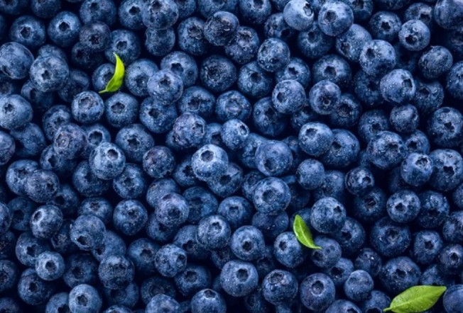 Functional Food Guide.Org Blueberries