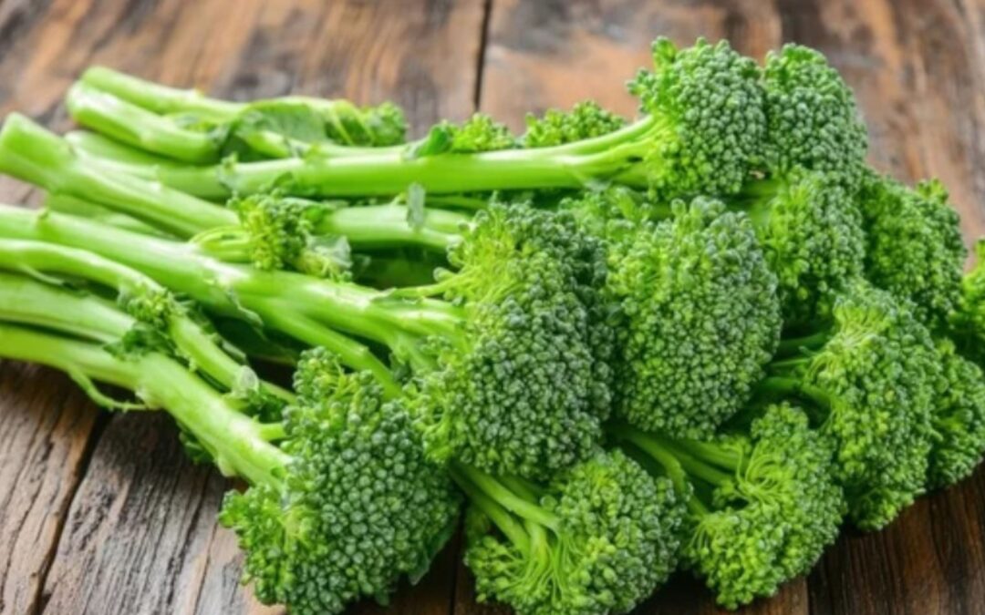Functional Food Guide.org Broccoli Head Image