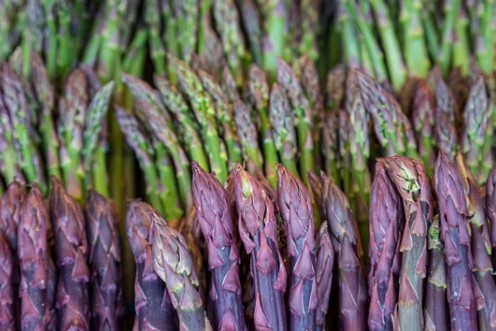 Spears of green and purple asparagus