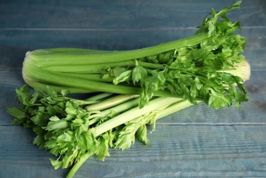 Celery stalks with leaves