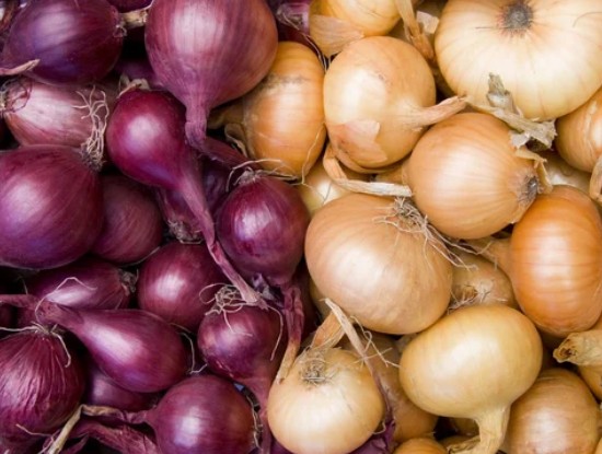 Red and white onions