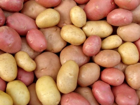 White, yellow and red potatoes