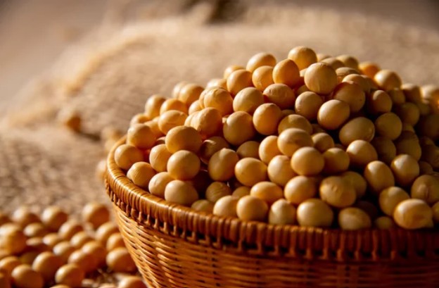A bowl of soybeans