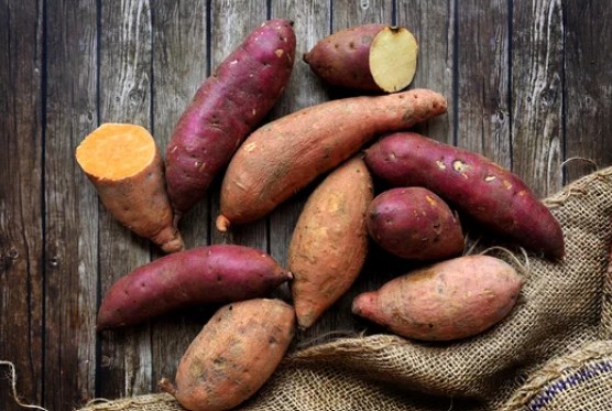 Yellow-fleshed sweet potato